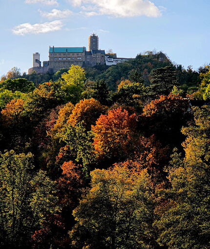 Abb. 1: Blick auf die Ostseite der Wartburg mit Herbstwald, Foto: Liane Reichenbach