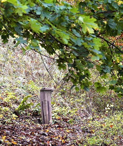 Der Velsbachstein unterhalb der Wartburg