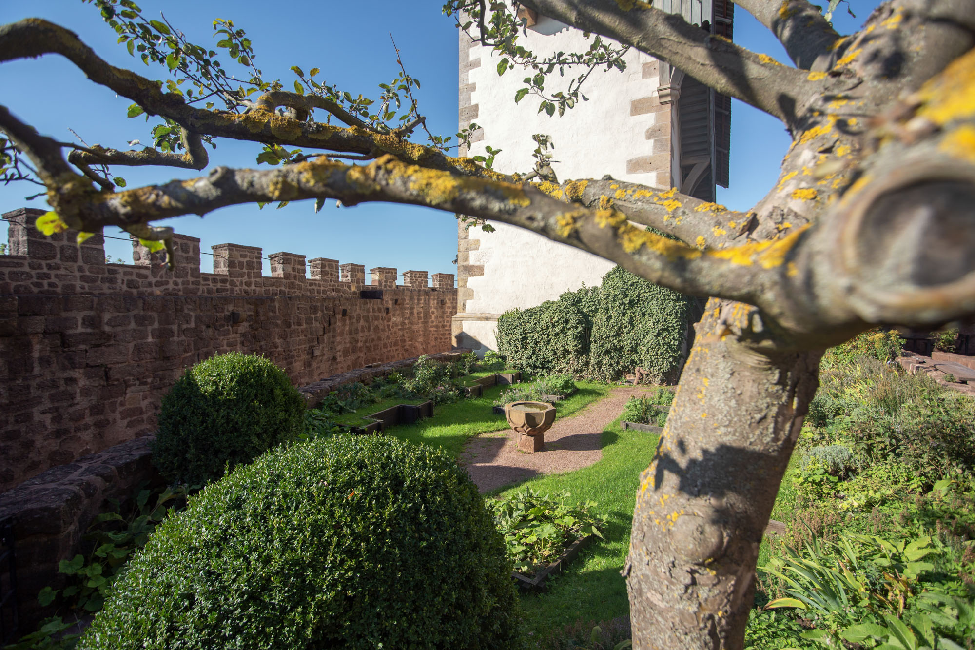 Kräutergarten